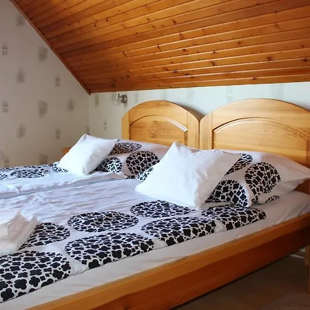 Appartement Lizi *