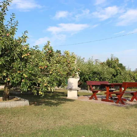 Apartman Lizi